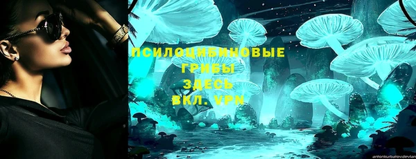 круглые Абаза