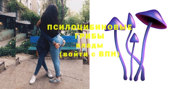 круглые Абаза