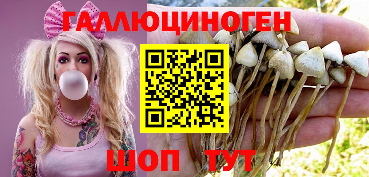 Галлюциногенные грибы Cubensis  продажа наркотиков  Вход с VPN  Шали  Псилоцибиновые грибы Psilocybe 