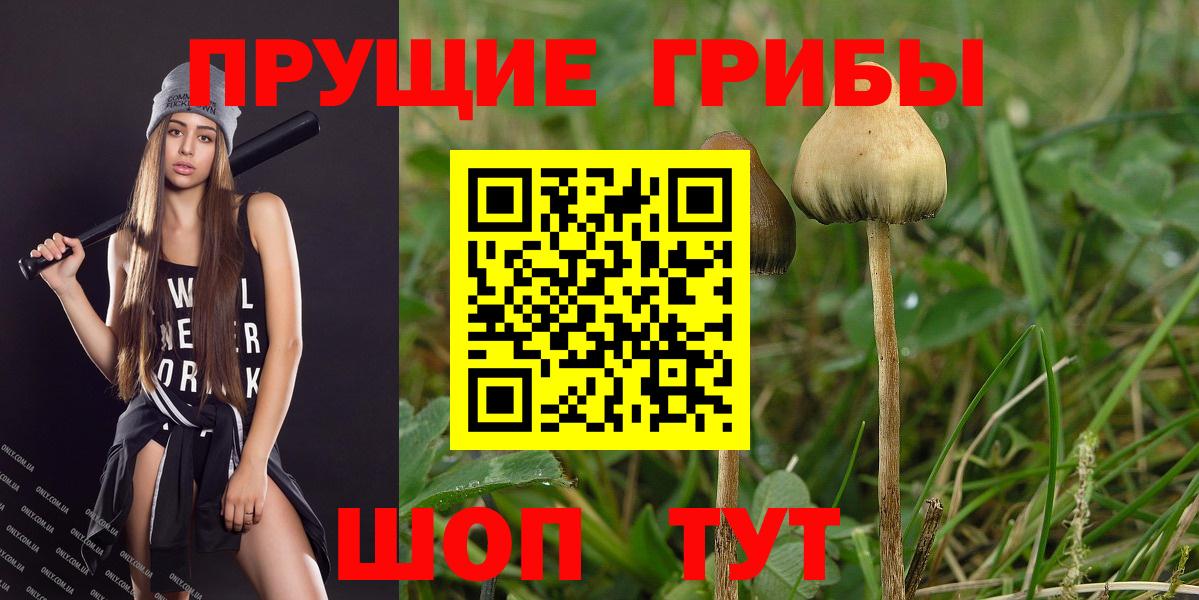 Псилоцибиновые грибы мицелий Шали
